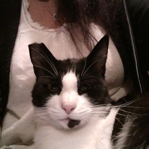 Meet your Posher, Janet